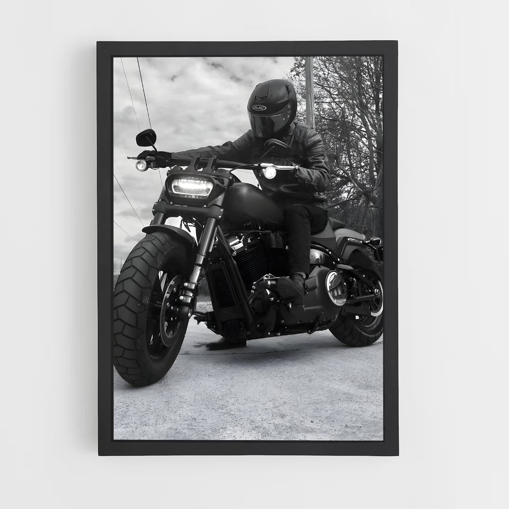 Poster splendide Low rider s – affiche Harley-Davidson (vue 2)